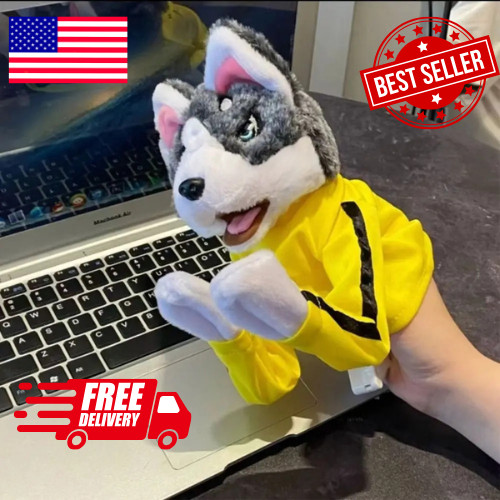 Kung husky boxing - kung,