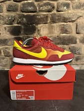 V RARE 2021 NIKE AIR PEGASUS