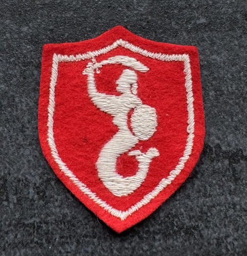Genuine ww2 poland polish 2nd - polish,