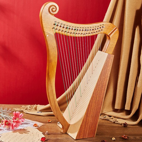 Professional string lyre - professional,