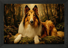 Rough Collie in Forest Framed