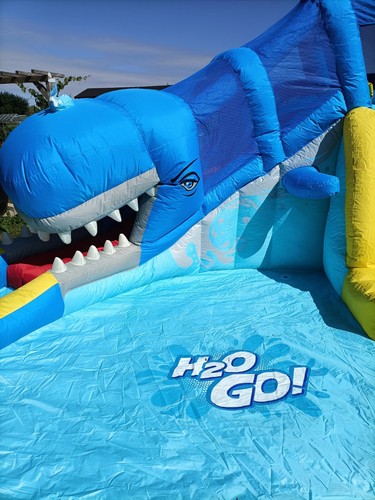 H2ogo whales waves kids - h2ogo!,