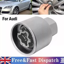 for Audi Security Master