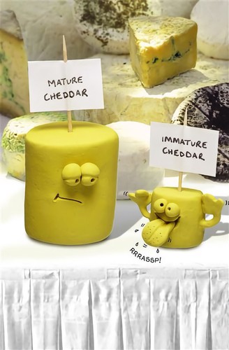 Funny birthday card cheese - birthday,