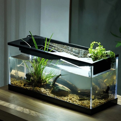 Small fish tank - aquarium,
