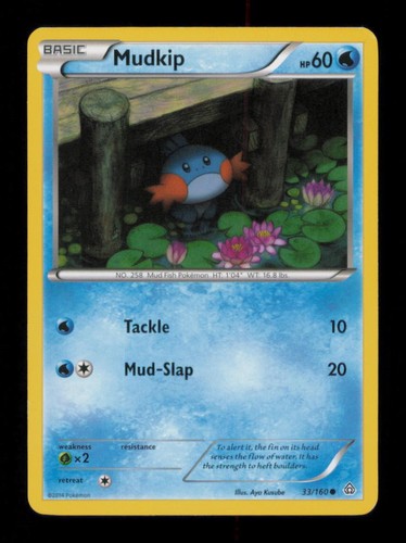 Mudkip common 160 - mudkip, nm