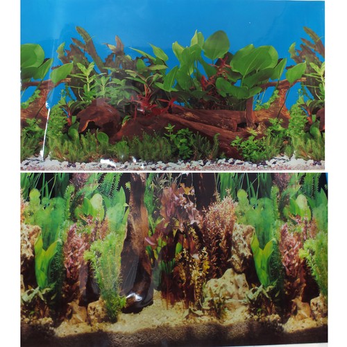60cm aquarium freshwater - aquarium,