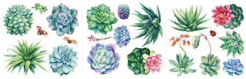 Hokus pokus petite decor - pokus,
