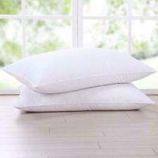 Luxury Egyptian Cotton Pillows