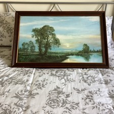 Tony Sheath Radiance Oil