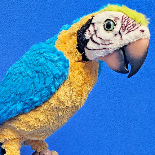Furreal friends hasbro parrot - hasbro,