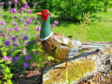 Metal Regal Pheasant Garden