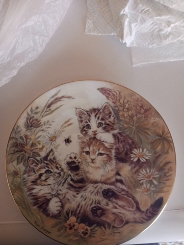 Royal worcester compton - worcester,