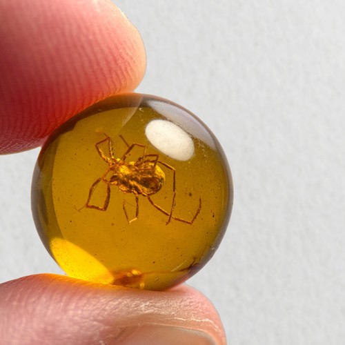 Mite sphere 5mm bead - mite,