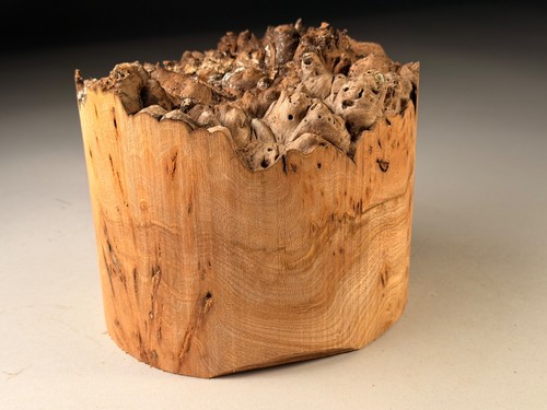 Amazing large live edge burr - amazing,