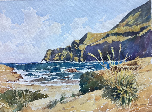 Early 20th century watercolour - early,