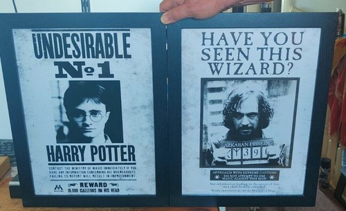 Framed harry potter and - a4,