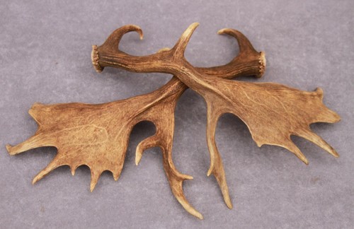 Naturally shed set - naturally,
