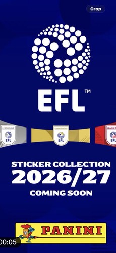 Panini efl 2027 - panini,
