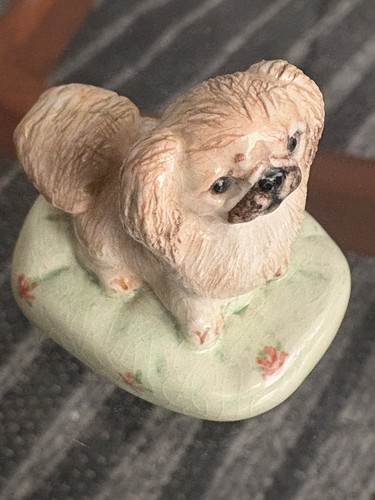 Miranda smith pekingese dog - c,
