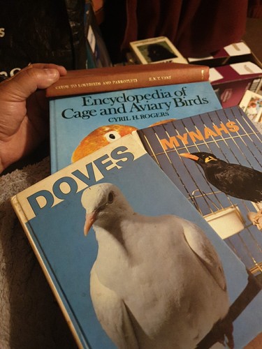 Bird books doves - 4, x