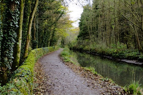 Photo 6x4 cromford canal - 6x4, the