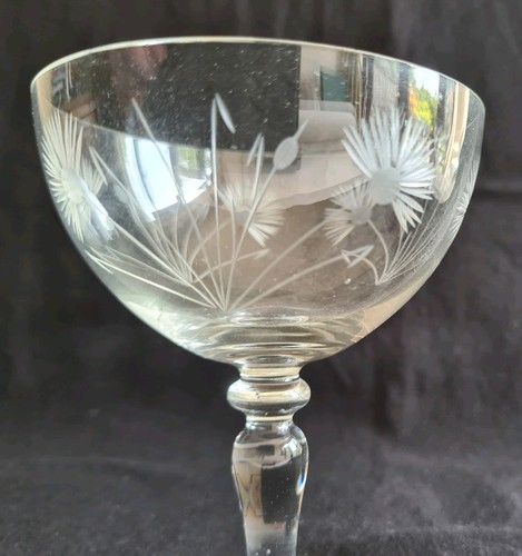 Vintage champagne glass coupe - champagne,