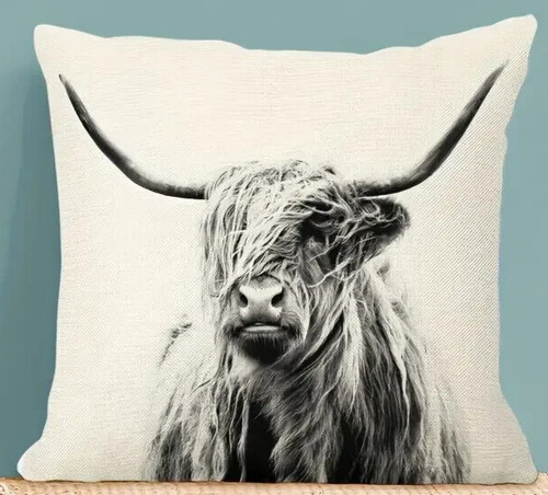 Highland cow heifer bovine - highland,
