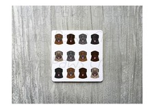 Bouvier Des Flandres Coaster