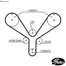 TIMING BELT T286 FOR HONDA