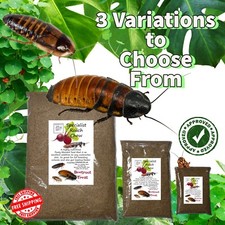 Specialist Roach Chow, Dubia Hissing Cockroach Food Feeder Insect, 3 Variations