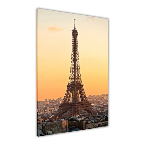Paris eiffel tower portrait - paris,