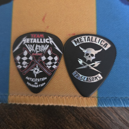 Metallica seasons guitar - metallica,