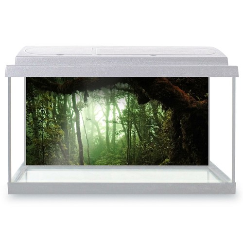 Fish tank background - background, 90x45cm