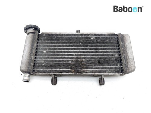 Radiator honda cbr - radiator,