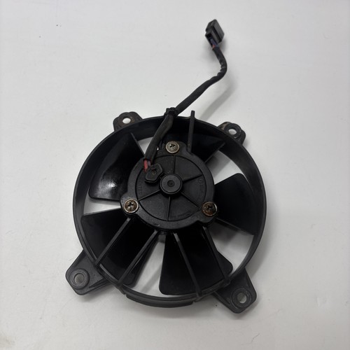 Beta rev 250 2005 06 - 3, 2005/06