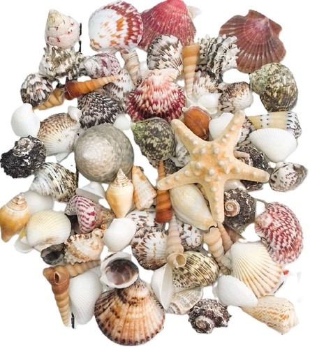 1kg assorted mixed - 1kg,