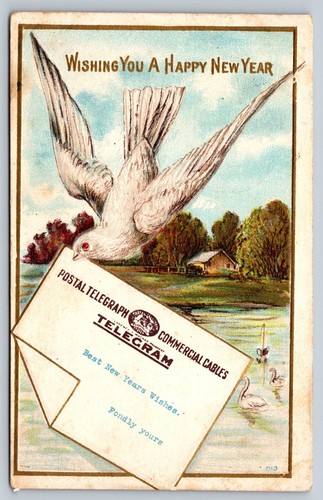 Carrier pigeon new year - carrier,