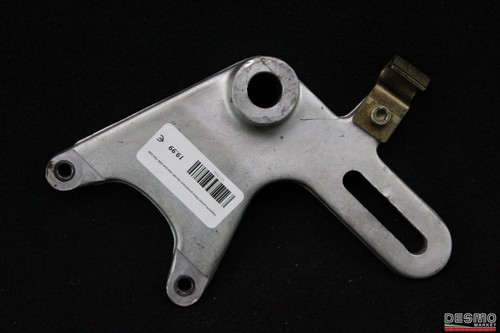 Rear brake caliper support