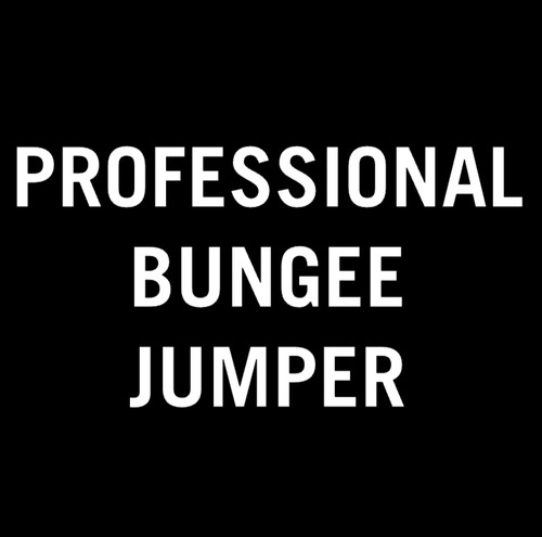 Professional bungee jumper - professional,