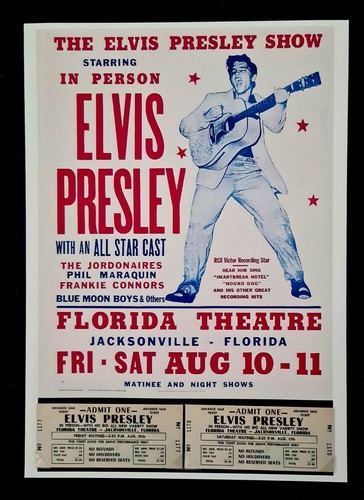 Repro concert ticket poster - repro,