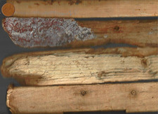 4 VERY WORN Long board UK