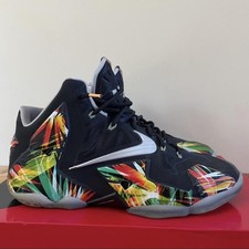 Nike LeBron James 11