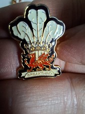 Welsh Breakthru Pin Badge