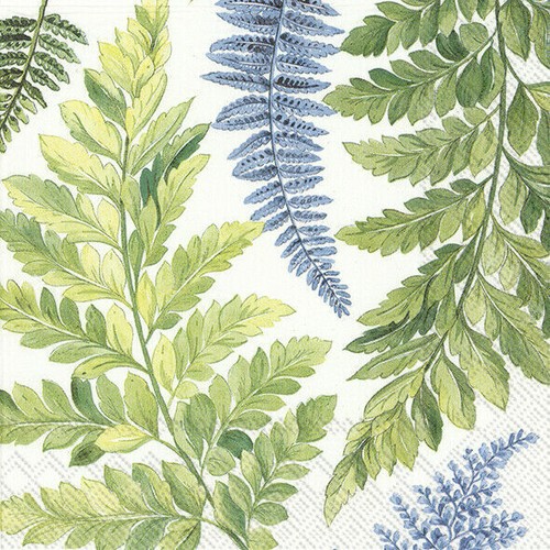 Arwea white blue green - , ferns