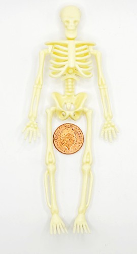 Dolls house skeleton halloween - dolls,