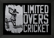 Limited Overs Cricket Play