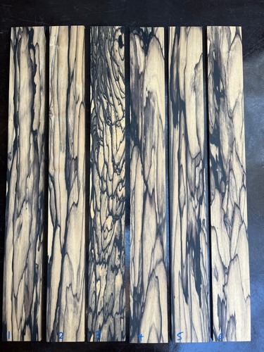 Pale moon ebony - ebony, 5-string