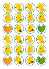 24 BABY YELLOW DUCKS CUPCAKE