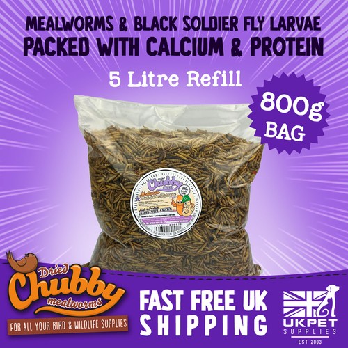 Refill bag dried mealworms - refill,